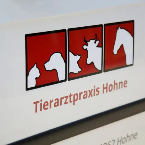 Drei rote Quadrate mit weißen Silhouetten von Hund, Kuh und Pferd über dem Schriftzug 'Tierarztpraxis Hohne'