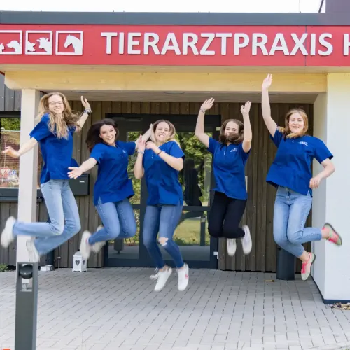 Fünf Personen in blauen T-Shirts springen vor der Tierarztpraxis Hohne unter dem Schild mit Tierpiktogrammen