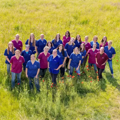 Gruppe von 19 Personen in blauen und magenta Arbeitskleidung steht auf einer Wiese mit roten Blumen
