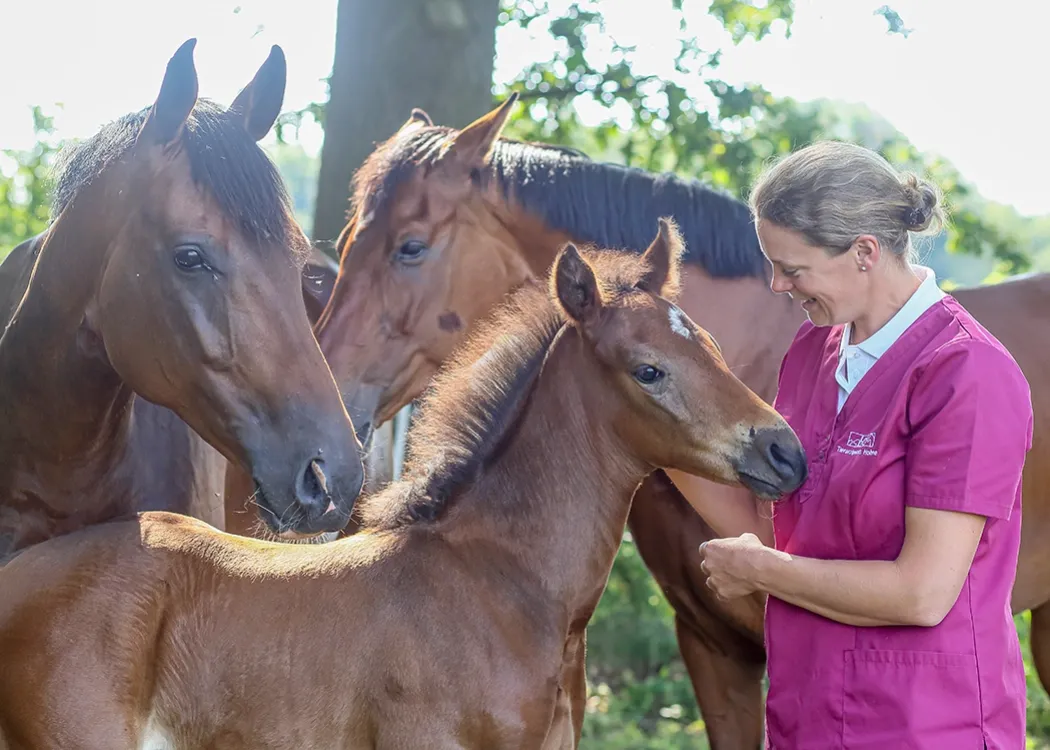 Tierärztin steht auf einer Weide neben einer braunen Stute und ihrem jungen Fohlen und streichelt das Fohlen liebevoll am Kopf – fürsorgliche Pferdemedizin.