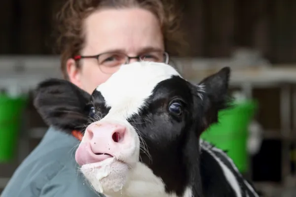 Eine Frau hält eine schwarz-weiße Kuh, die zur Kamera schaut. Die Kuh hat eine helle Schnauze und einen neugierigen Ausdruck.