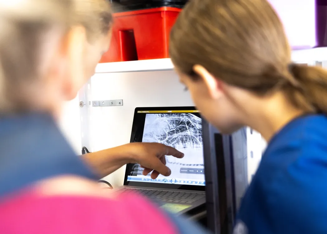 Drei Personen blicken auf einen Monitor, welcher ein Röntgenbild zeigt. Eine Person zeigt mit dem Finger auf den Monitor - – Auswertung und Diagnosestellung in der Tiermedizin.