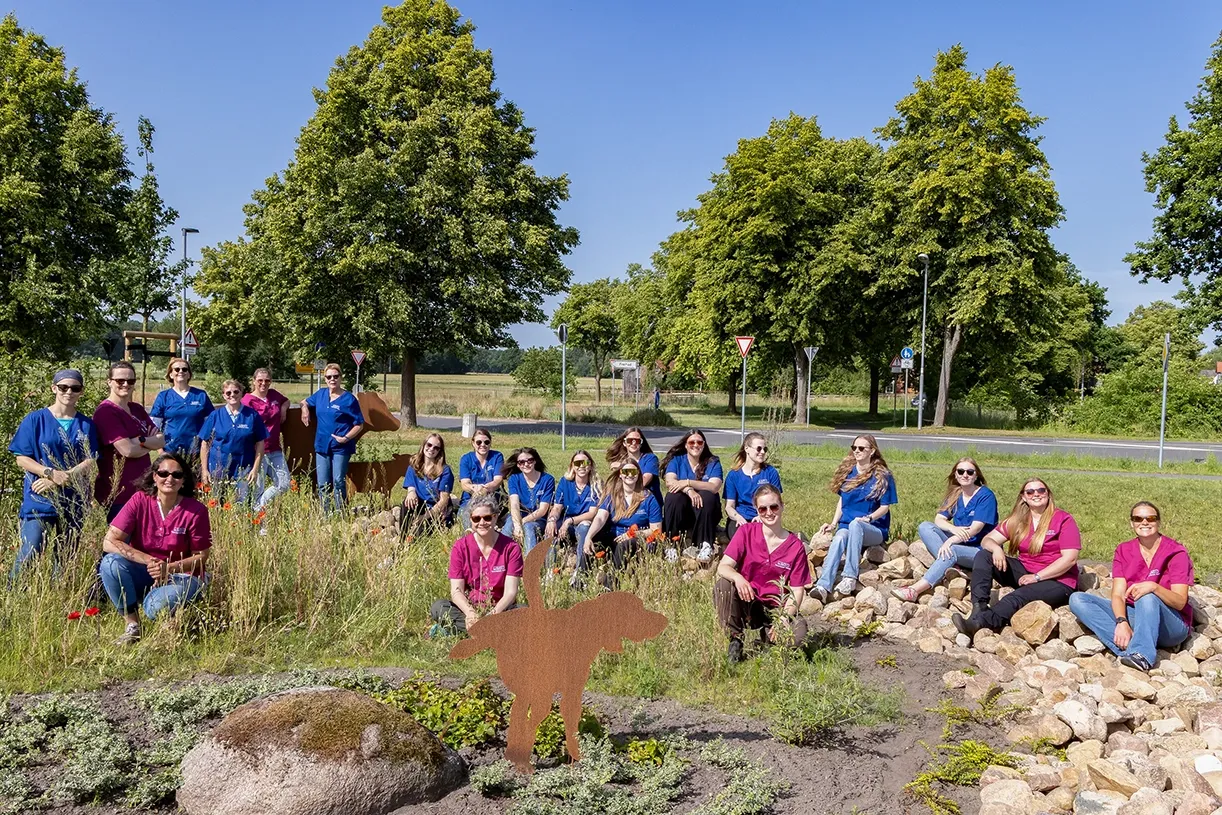 Das Team der Tierarztpraxis Hohne sitzt im Freien auf einer Wiese. Einige tragen blaue, andere pinke T-Shirts. Im Hintergrund sind Bäume und eine Straße sichtbar.