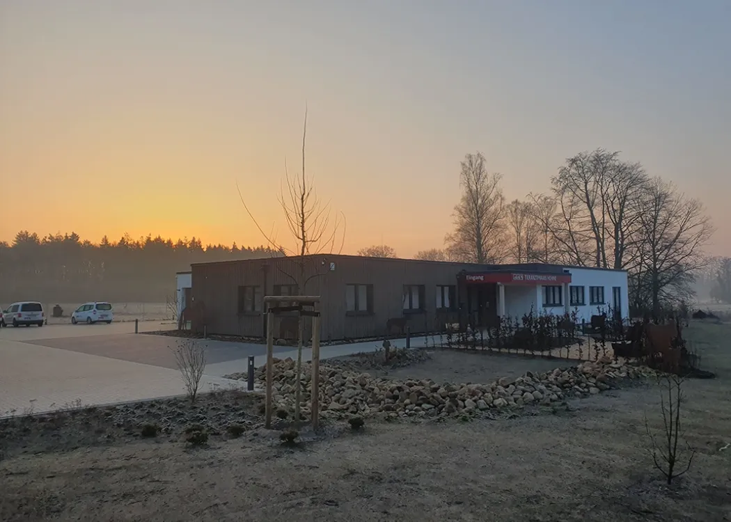 Außenansicht der Tierarztpraxis Hohne im Harzklint bei Sonnenaufgang. Flaches, modernes Gebäude in grauen Tönen, umgeben von einer großen Freifläche mit jungen Bäumen und einem Steinwall im Vordergrund.