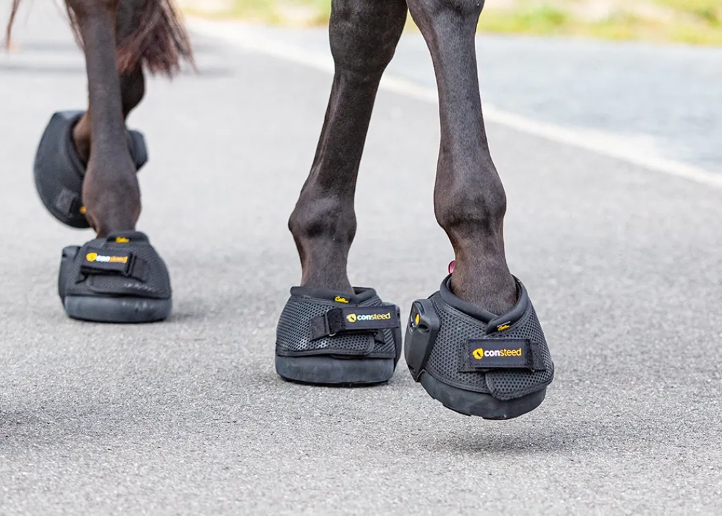 Pferde trägt schwarzen ConSteed-Hufschuhe, die mit Sensoren versehen sind und für eine computergestützte Ganganalyse im Bereich der Pferdemedizin verwendet werden.