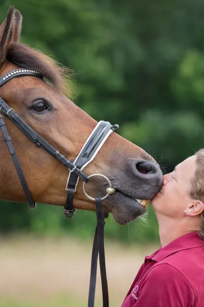 Braunes Pferd mit Zaumzeug steht nah vor einer Person in rotem Poloshirt, die nach oben schaut. Hintergrund mit unscharfem Grün.