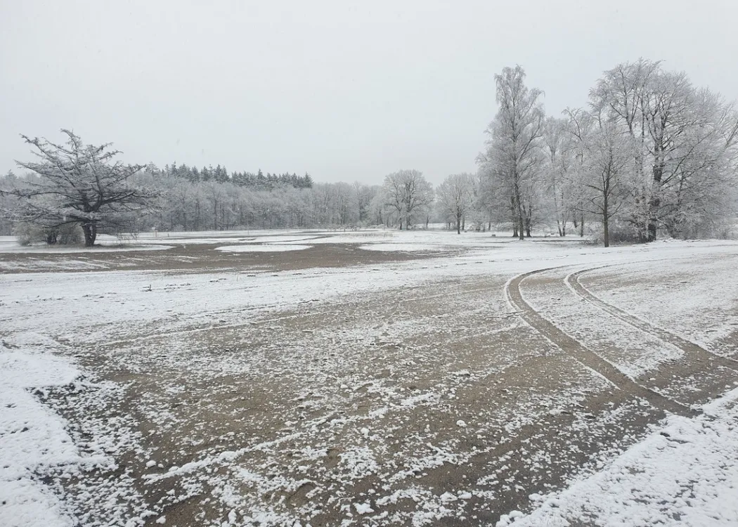 Winterliche Landschaftsaufnahme des Baugrundstücks der Tierarztpraxis Hohne im Harzklint. Schneebedeckter Boden, kahle Bäume, grauer Himmel. Eindruck einer ruhigen, noch unbebauten Fläche.