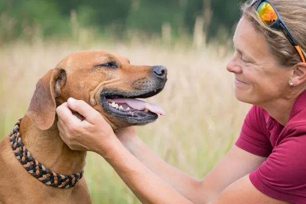 Ein brauner Hund mit einem geflochtenen Halsband wird von einer Person gestreichelt. Der Hund hat die Zunge herausgestreckt und wirkt entspannt. Die Frau lächelt.