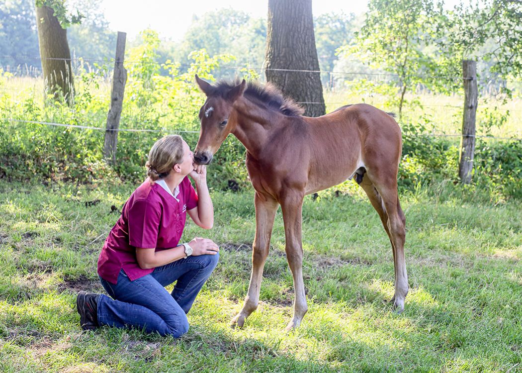 Tierärztin kniet auf einer Weide neben einem braunen Fohlen und untersucht es vorsichtig, während die Mutterstute in der Nähe steht – Beispiel für Pferdemedizin in der Praxis.