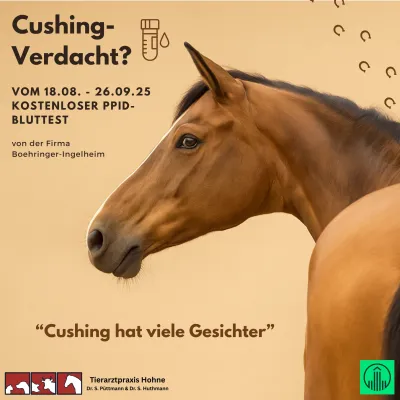 Braunes Pferd mit gesenktem Kopf auf einem Poster. Text: 'Cushing-Verdacht? VOM 18.08. - 26.09.25 KOSTENLOSER PPID-BLUTTEST von der Firma Boehringer Ingelheim. Cushing hat viele Gesichter.'