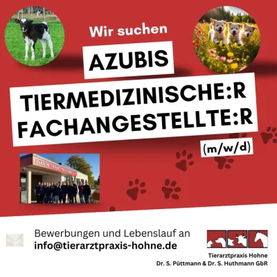 Text auf rotem Hintergrund: 'Wir suchen AZUBIS TIERMEDIZINISCHE:R FACHANGESTELLTE:R (m/w/d)'. Unten links: Gruppenfoto vor der Tierarztpraxis. Unten rechts: Logo 'Tierarztpraxis Hohne'.