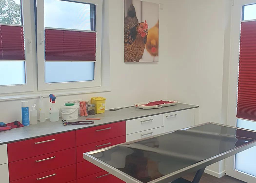 Moderner Behandlungsraum mit Untersuchungstisch aus Edelstahl, weißen Schränken und roten Akzenten, hell erleuchtet durch große Fenster.